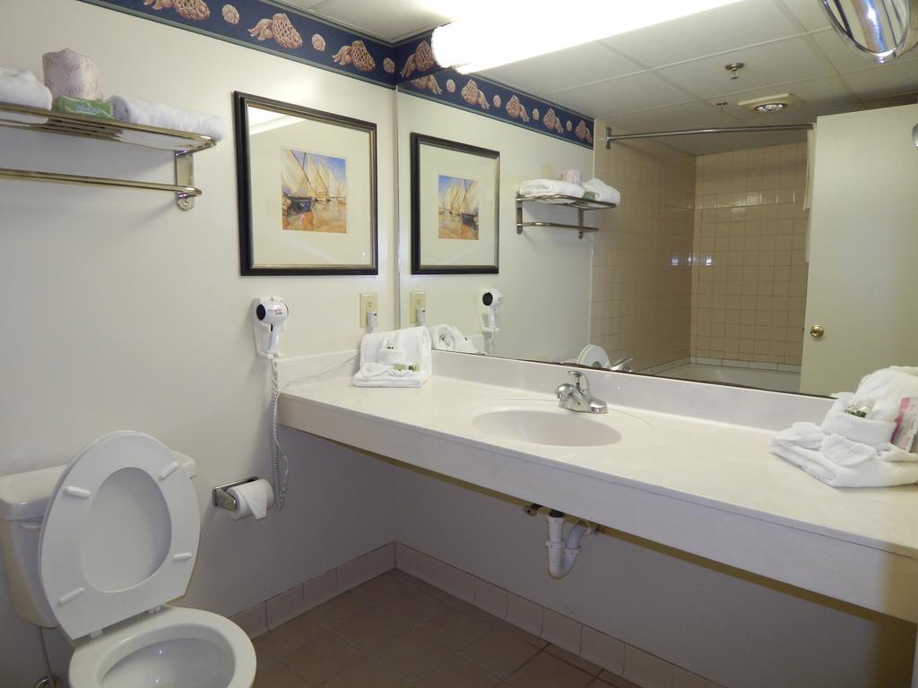 Hotel Paradise Plaza 3*